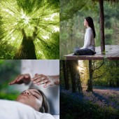 Reiki: Phương pháp chữa lành bằng năng lượng của người Nhật